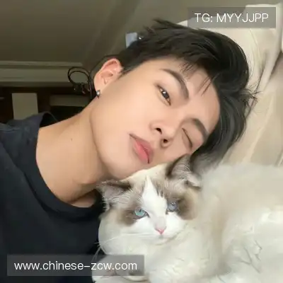 顾语辰